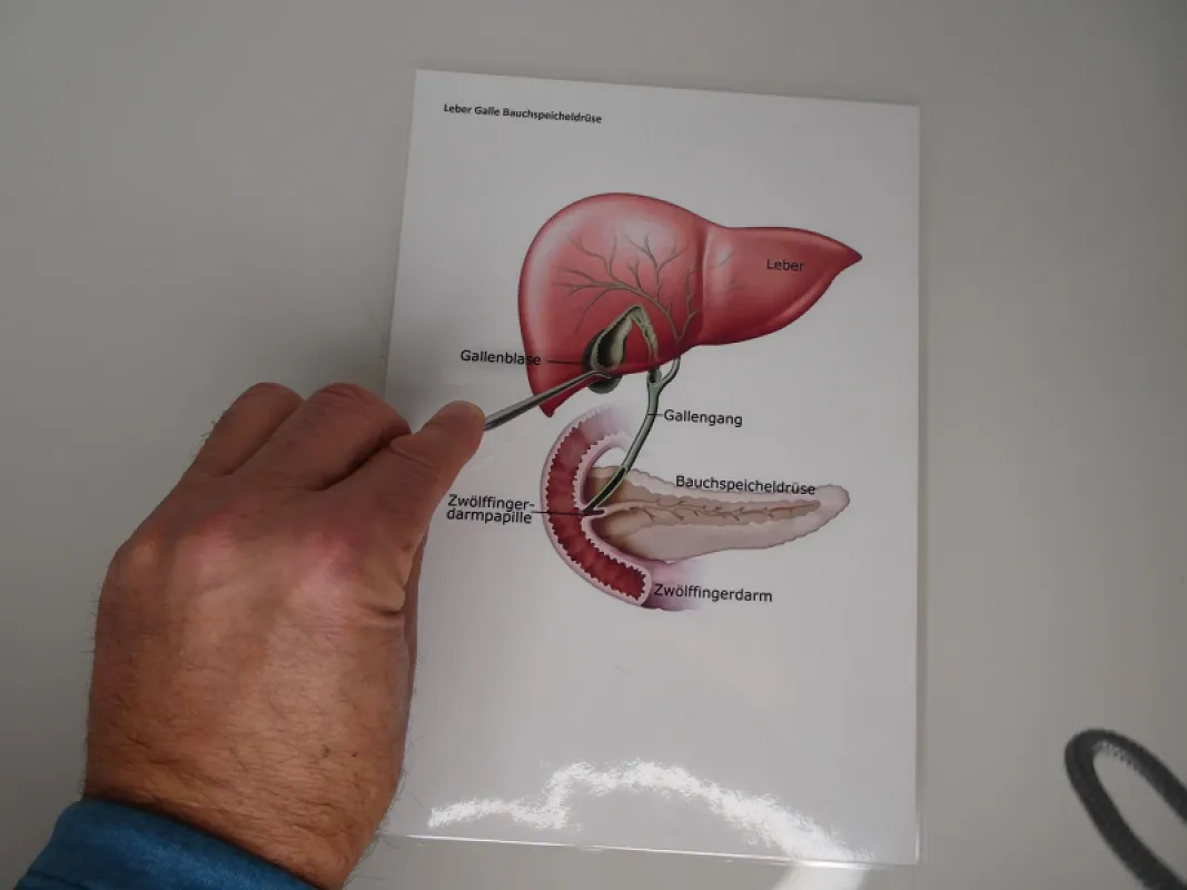 Surgery of the liver.